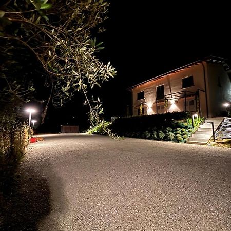 Eri Tra Gli Ulivi Lägenhet Loro Ciuffenna Exteriör bild